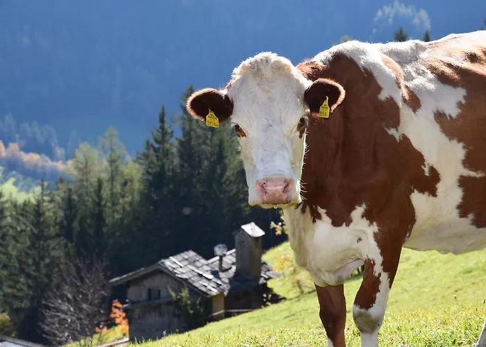 Untere Roner Kasa Mörtschach